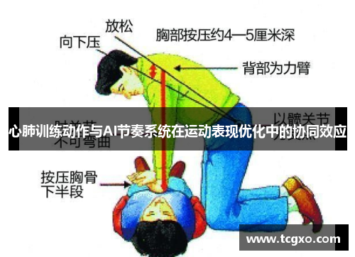心肺训练动作与AI节奏系统在运动表现优化中的协同效应